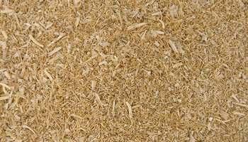 High Protein Malt Combings (Stockfeed)