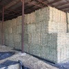 Irrigated Lucerne Small Squares in Baron Packs
