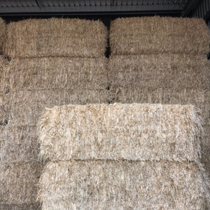 Barley Hay 