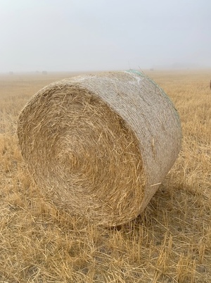 90t Wheaten Straw 5x4 Rolls