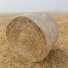 90t Wheaten Straw 5x4 Rolls