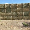 55mt Lucerne Hay 620kg 8x4x3 Bales 