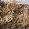 Straw 8 string 8x4x3 bales price is per bale