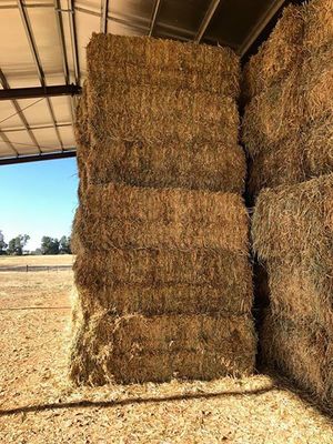 Wheaten Hay 8x4x3 - Canowindra NSW