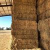 Wheaten Hay 8x4x3 - Canowindra NSW