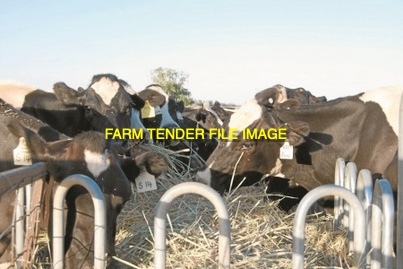 S/Hand Waste Not or Similar Hay Feeders Wanted
