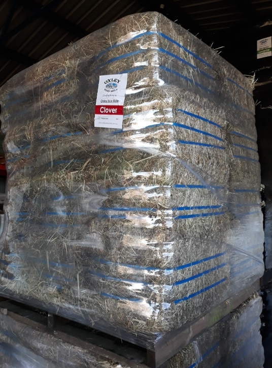 Compressed ECO Clover bales