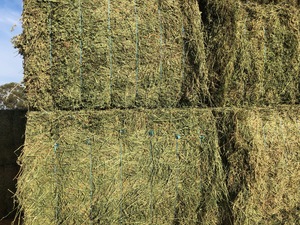 2nd Cut Lucerne Hay 8x4x3 Bales