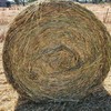 Wheaten Hay 5x4 Round Bales (Sunlamb)