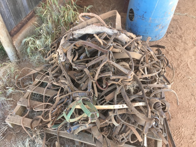 Under Auction - (A132) - Pallet of Horse Gear 