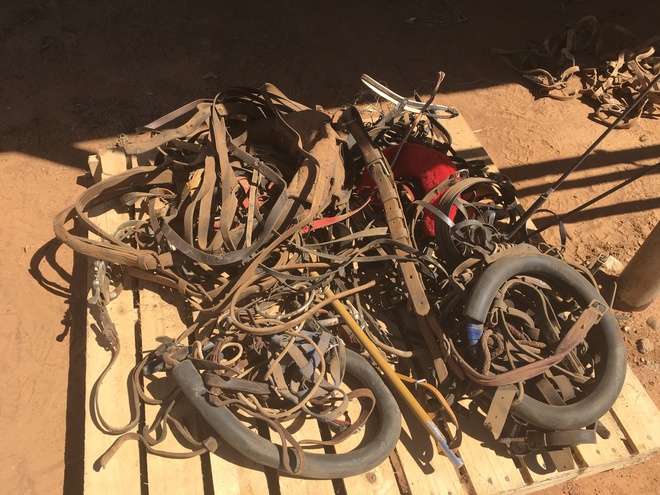 Under Auction - (A132) - Pallet of Harness Trotting Gear Assembly 