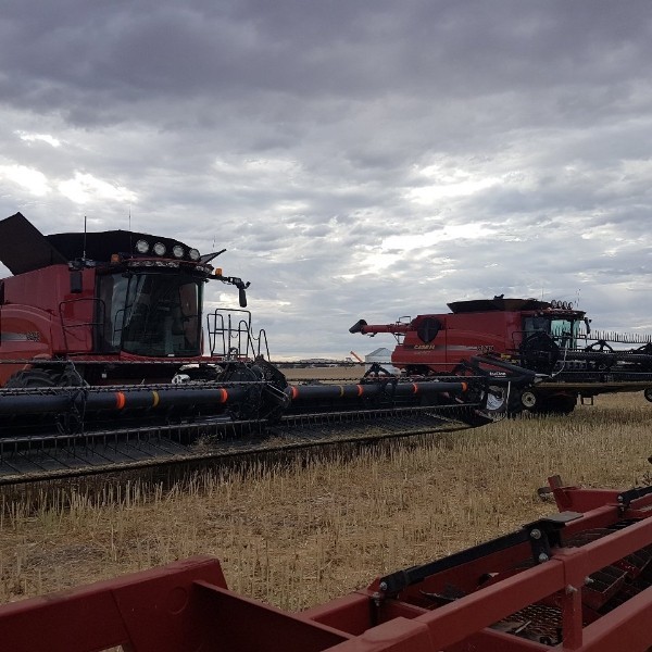 HARVESTING AVAILABLE 