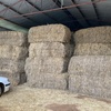 Forage Sorghum Hay 8x4x3 Bales