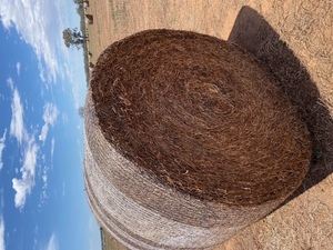 Vetch Rolls