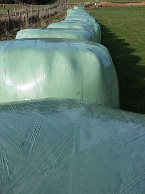 Quality silage