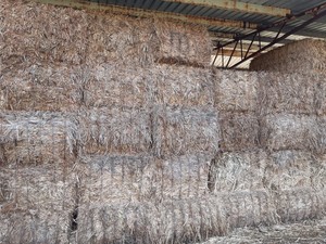 Sorghum Hay 