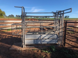 Cattle Crush
