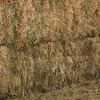 200 m/t of New Season Oaten Hay 8x4x3 640 Kg's Ave