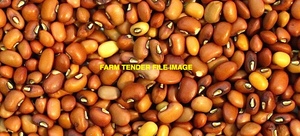 11mt Graded Red Caloona Cow Peas