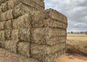 500mt Barley & Ryegrass Pasture Hay 700-750kg 8x4x3 Bales ex paddock