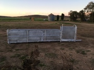 Sheep three way draft