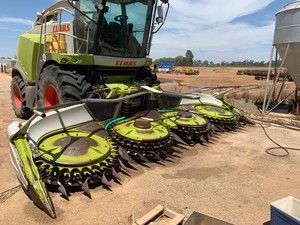 Orbis 600 AC PRO Maize front