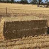 Wheaten Straw 500kg 8x4x3 Bales