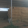 11,000 Lucerne Hay Small Bales (High Quality)