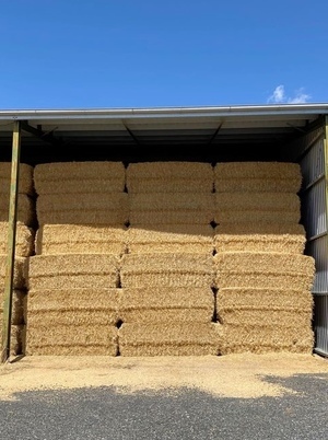 250mt Barley Straw 530kg 8x4x3 Bales