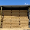 320mt Barley Straw 530kg 8x4x3 Bales