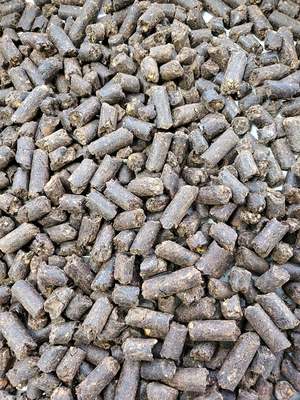 Cattle & Sheep Backgrounding Pellets