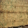 Oaten hay