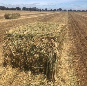 Wheaten/Oaten Hay
