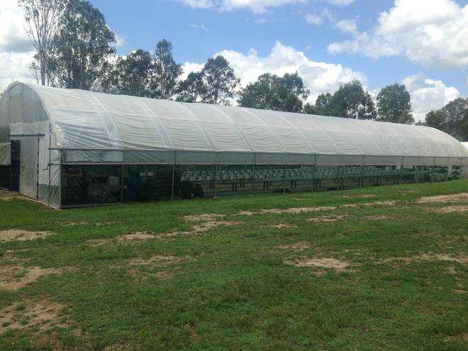 Greenhouses,(Polytunnels)