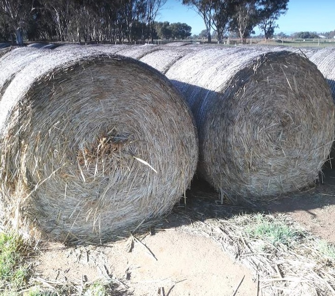 60 x Sorghum Hay 5x4 Bales + Freight 