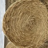 Wheaten hay, round bales, near Mortlake