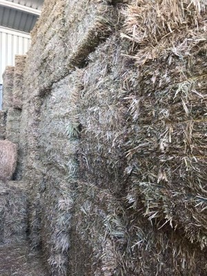 Small Square Oaten Bales