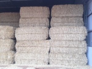 Barley Straw 8x4x3
