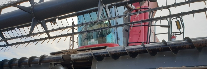 40ft Ag-Shield Cross Augur