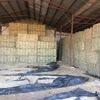 Irrigated Lucerne Small Squares in Baron Packs