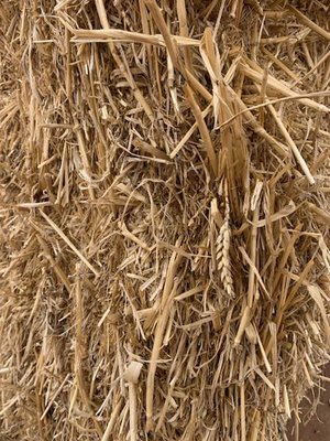 'B' Double Loads of Wheaten Straw