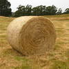 Round Hay Bales