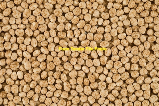 WANTED WHOLE LUPINS - BY THE PALLET OR IN BULK