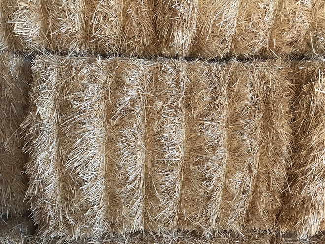 Barley Straw / Tailings 