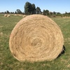 Rye/Clover Hay, 5x4 Round Bales