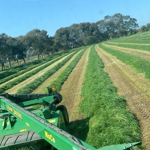 Wanted Vetch and Cereal crops standing 