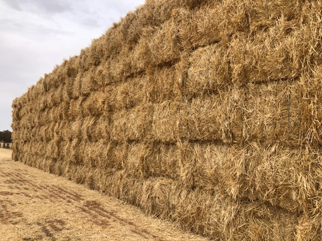 Wheaten Straw 8x4x3 Bales