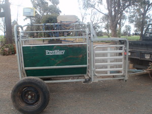 Pratley 3 way auto drafter with Tru-test weigh bars