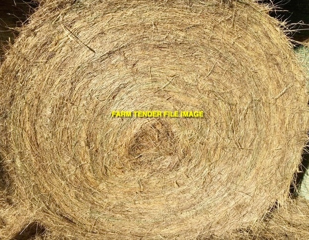 Clover & Rye Pasture Hay 400kg 5x4 Bales