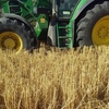 EOI Wheaten Straw 5x4 or 8x4x3 Bales